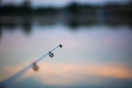Freshwater fishing with fishing rods on the shore of the pond, lake.の写真素材