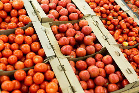 Fresh red tomatoes in boxes in the supermarket.の写真素材