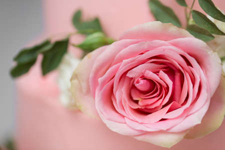 Delicate pink wedding cake with fresh flowersの写真素材