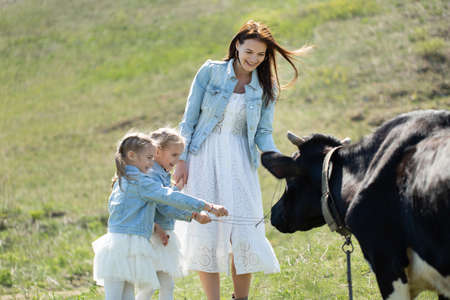 Young mother and her twin daughters feed a black cow in a meadow in the villageの写真素材