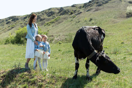 A young mother and her twin daughters look at a black cow in a meadow in the villageの写真素材