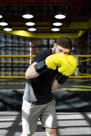 The assembled athlete in the boxing gym practices boxing punches during training and looks at the camera.の写真素材