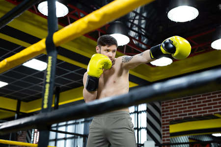 Collected sportsman in the boxing hall practicing boxing punches during training.の写真素材
