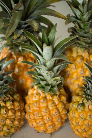 Lots of fresh ripe pineapples close upの写真素材