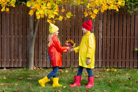 Children in waterproof raincoats and rubber boots. A boy gives a girl a bouquet of yellow leaves.の写真素材