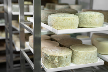 Artisan cheese stored on shelves and left to ripen in a private cheese factory.の写真素材