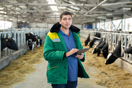 A male farmer in uniform with a tablet and cows in a cowshed on a dairy farm.