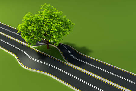 big tree growth in the middle of roadの写真素材