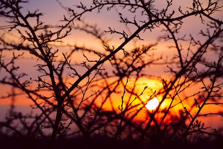 autumn sunsetの写真素材