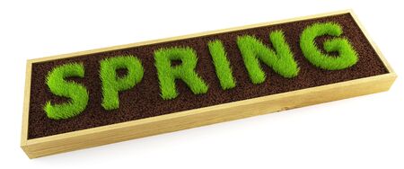 growing young grass word-shapedの写真素材