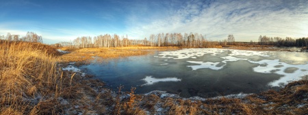 rural landscape with frosted ground and bared treeの写真素材