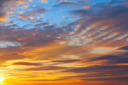 sunset sky in a city