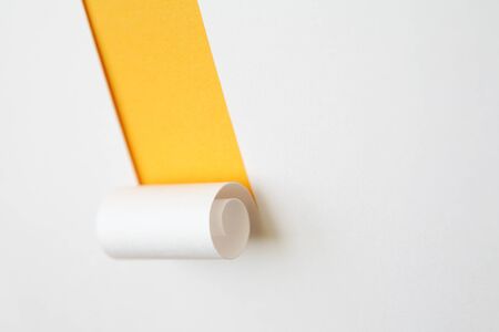 paper labelの写真素材