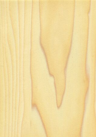 Natural wooden texture background. poplar woodの写真素材
