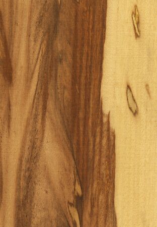 Natural wooden texture background. marblewoodの写真素材
