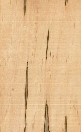 Natural wooden texture background. Maple wood.の写真素材