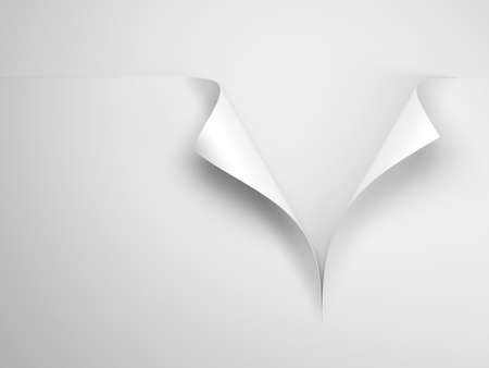 white sheet of paper with corner curlの写真素材