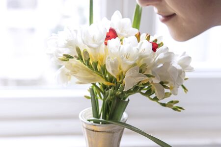 Smelling daffodil flowers in front of the  windowの写真素材