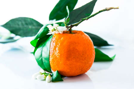 Single orange fruit with blossoms and leaves isolatedの写真素材