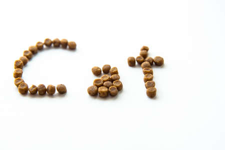 Writing cat with cat foods on the white background isolatedの写真素材