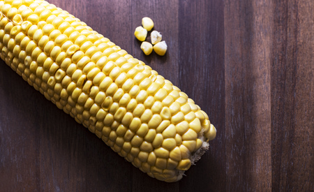 Corn cob on the wooden table with grains