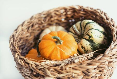 Small organic pumpkins in a basket on a white background, close up, decoration of Halloweenの写真素材