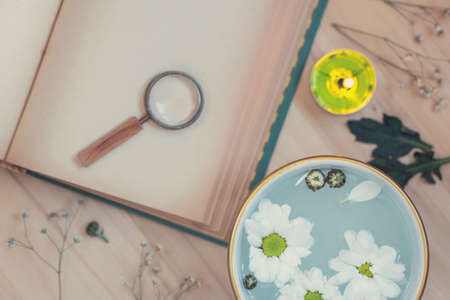 A herbal tea with fresh daisy flowers in a white and golden colored mug on a wooden table with an...
