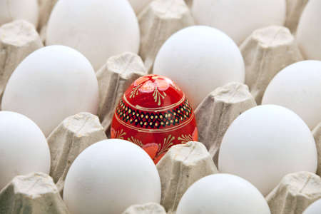 Painted Easter egg among white fresh eggsの写真素材