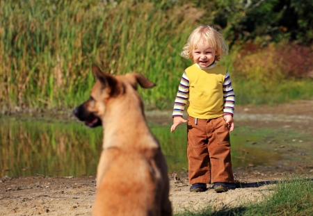 Little boy looking at a dog outdoors の写真素材