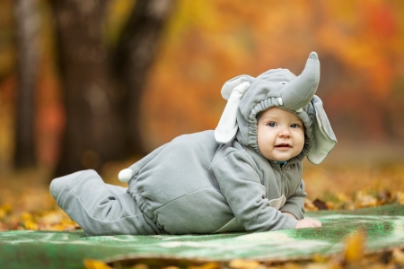 Baby boy dressed in elephant costume in autumn parkの写真素材