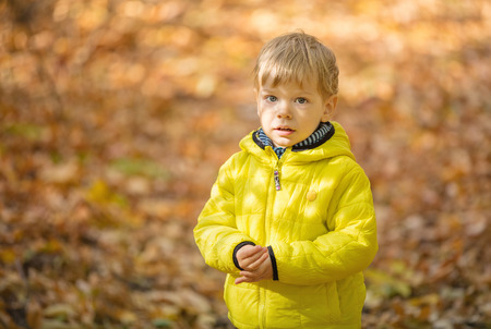 Portrait of toddler boy in autumn parkの写真素材