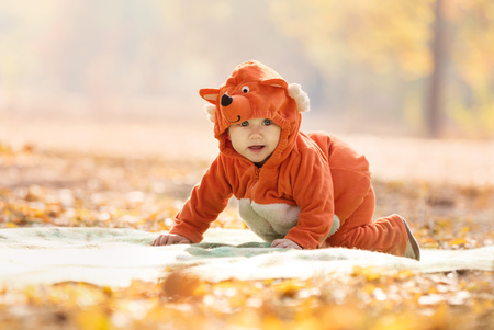 Cute baby boy dressed in fox costume in autumn parkの写真素材