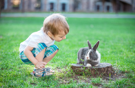 Little boy playing with rabbit. Rabbit in focus.の写真素材