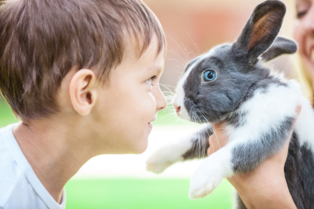 Little boy looking at pet rabbit in mom's handsの写真素材