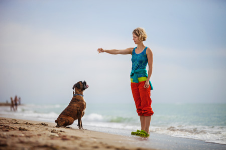 Young woman giving commands to boxer dog while walking on beachの写真素材
