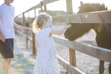 Little blonde girl stroking pony in zoo, her brother watching her and smilingの写真素材