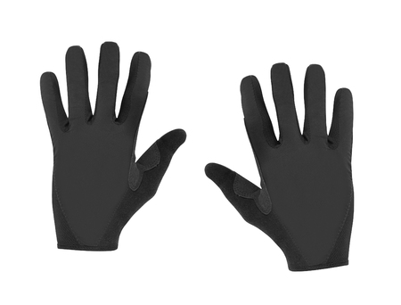Sport glove on white backgroundの写真素材