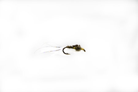 A tailed ant fishing flyの写真素材