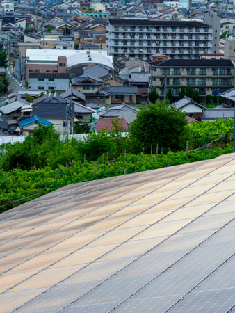 Solar panels installed on the mountain