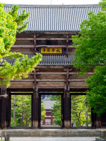 Scenery of Todaiji Namdaemun and the Great Buddha Hallのeditorial素材