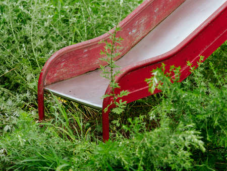 Lonely playground equipment in a park where plants growの写真素材