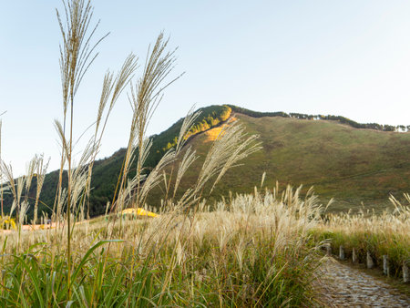 Scenery of the Soni Highland with a continuous cobblestone road