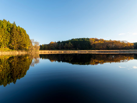 Lake scenery with scenery reflected on the surface of the waterの写真素材