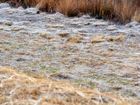 Frosty and frozen riverbed landscapeの写真素材