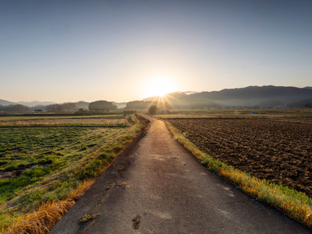 Rural scenery of Asuka Village with the rising sunの写真素材