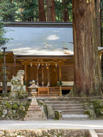 Worship hall and komainu of Ryuana Shrineの写真素材