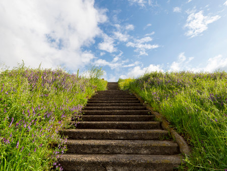 Stairs leading to the top of the embankment and spring flowersの写真素材