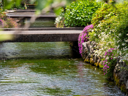 Scenery of the Jizo River in blooming flowersの写真素材