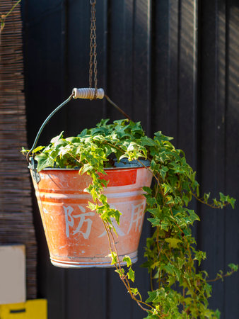 Decorated plants in a fire bucket