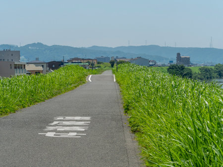 Landscape of road along embankment and fresh green grassの写真素材
